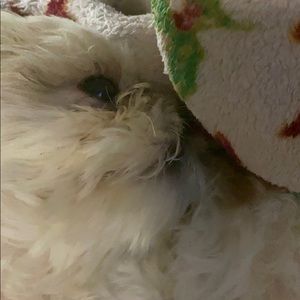 Meet your Posher, Luz